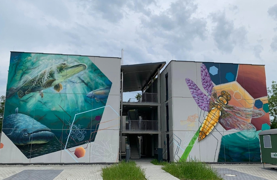 Mural on a residential building, Lindau, Germany
